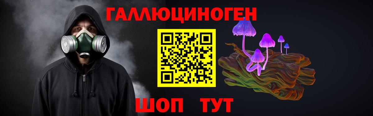 Ипатово  Псилоцибиновые грибы Cubensis  Псилоцибиновые грибы прущие грибы  Вход с VPN 